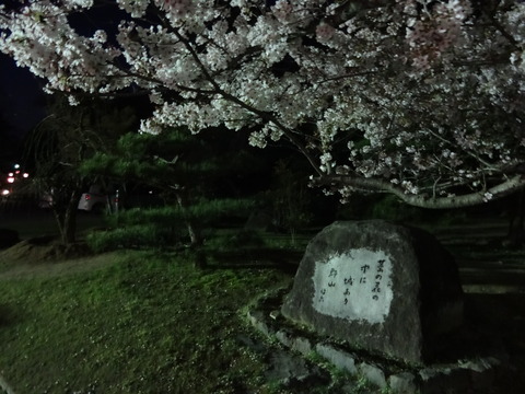 20140404 (69)