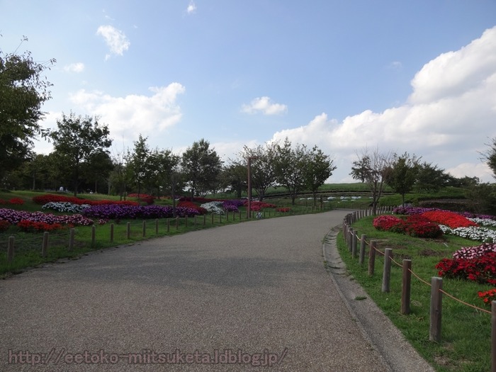 UmamiKyuuryou Park (9)