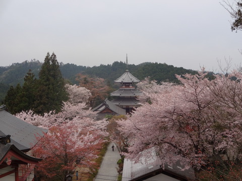 20140413 (44)