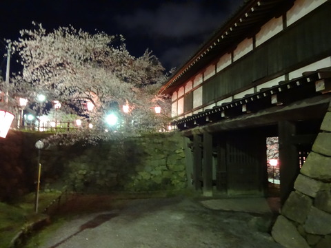 20140404 (73)