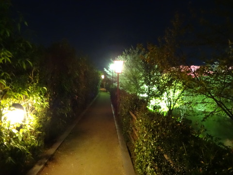 20140404 (21)