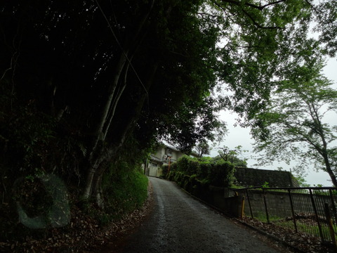 YatayamaAsobinoMori (8)