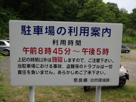 YatayamaAsobinoMori (26)