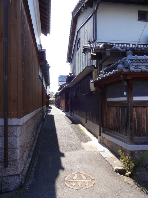 imai (4)