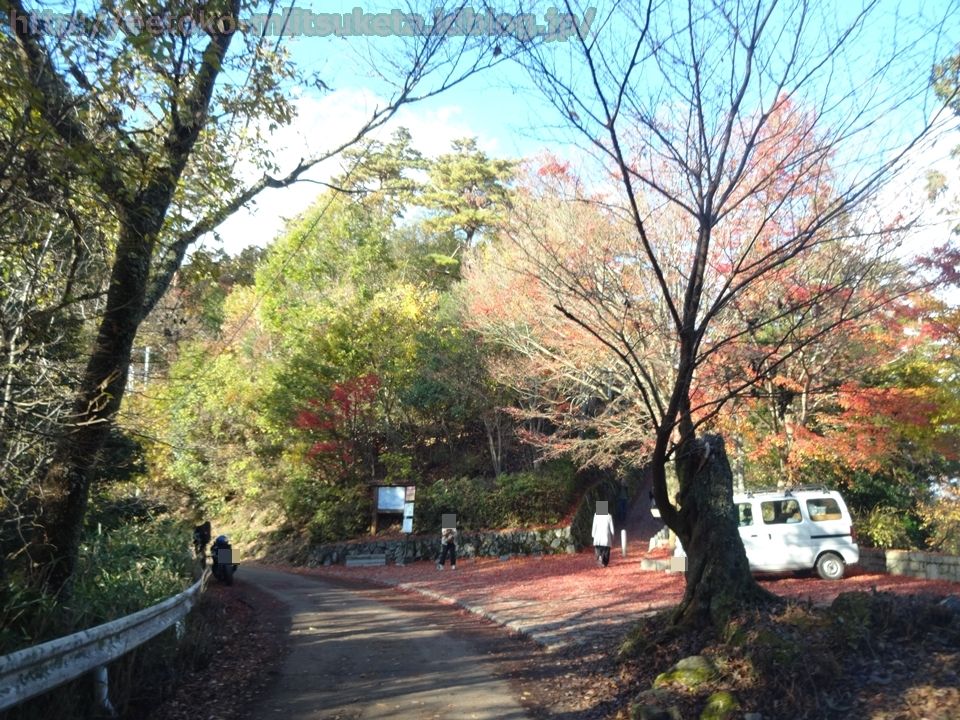 紅葉の絨毯がお出迎え 高城山展望台みぃつけた えぇとこみぃつけた