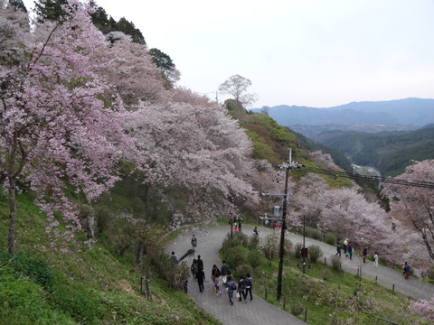 20140413 (48)
