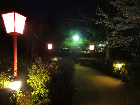 20140404 (26)
