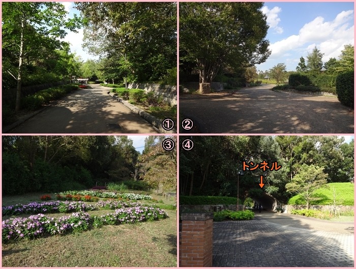UmamiKyuuryou Park (7)