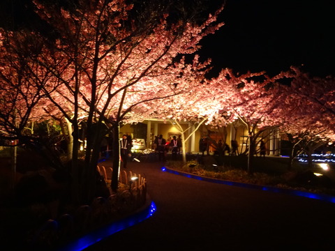20140322 (235)