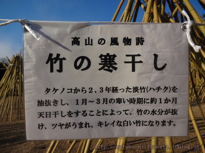 TakayamaPark (14)