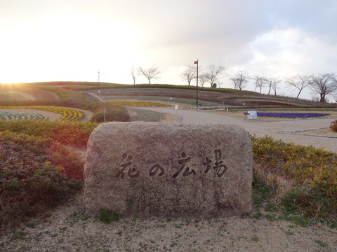 UmamiPark (36)