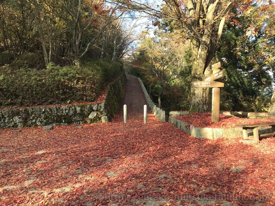 紅葉の絨毯がお出迎え 高城山展望台みぃつけた えぇとこみぃつけた