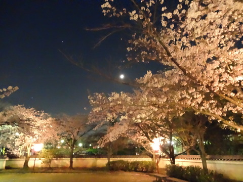 20140404 (98)