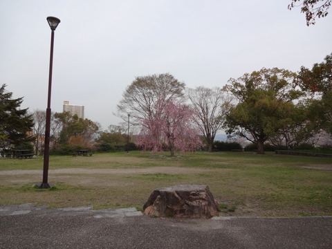 20140407t (50)