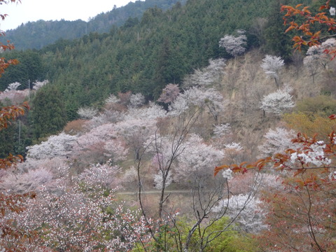 20140413 (11)