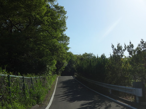 20140505 (6)