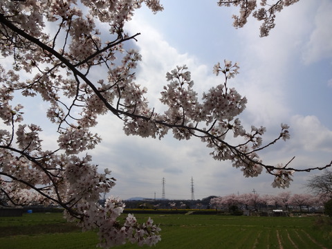 20140405 (15)