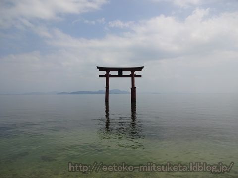 琵琶湖に建つ神秘的な鳥居！白鬚神社みぃつけた！