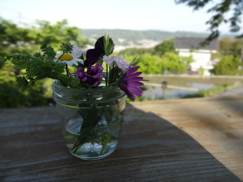 20140505 (56)