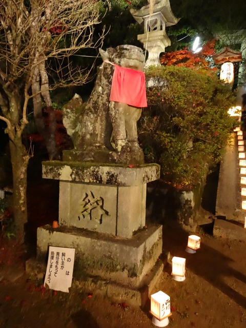 Tomijinjya (22)