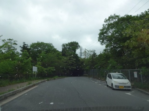 YatayamaAsobinoMori (3)