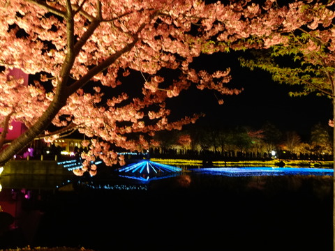20140322 (135)