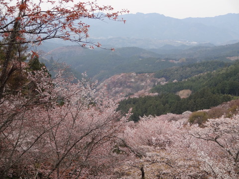 20140413 (26)