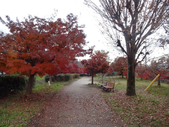 TatsutaPark (22)