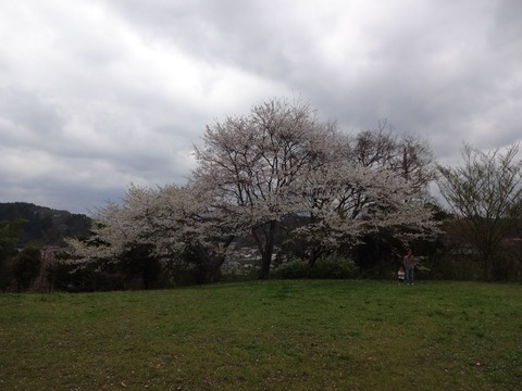 ManyouPark (17)