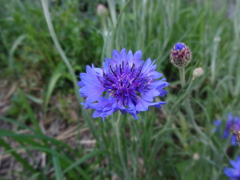 20140505 (83)