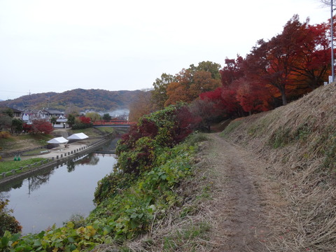 Tatsutagawa (23)