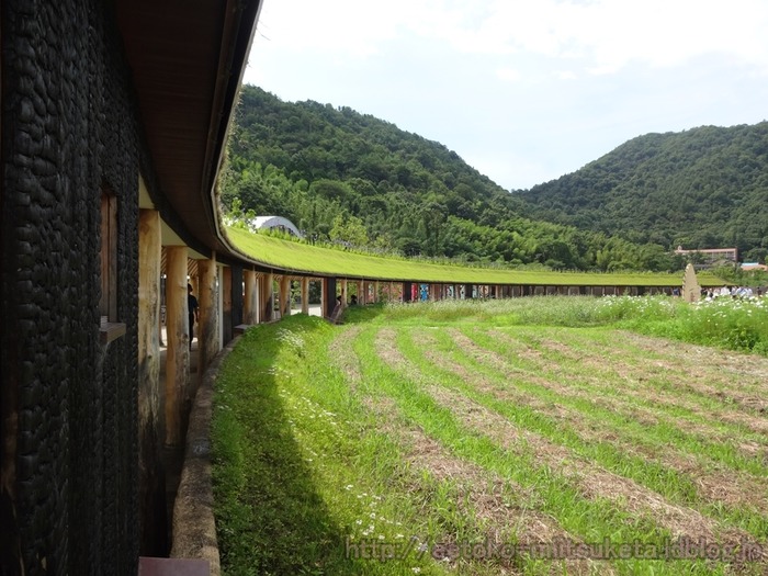 La_collina (14)