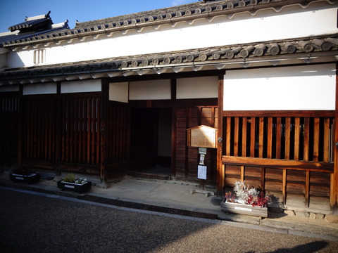 imai (41)
