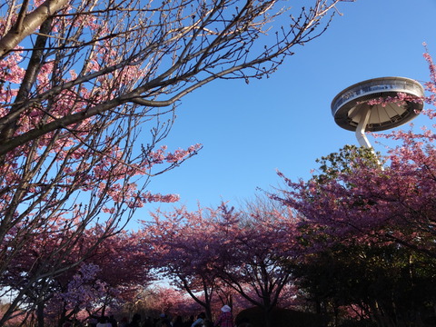 20140322 (52)