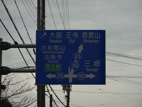 Tatsutagawa (5)