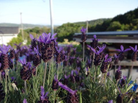 20140505 (67)