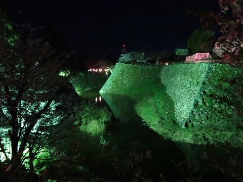 20140404 (25)