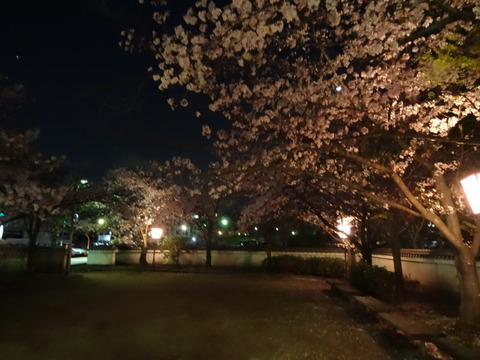 20140404 (97)