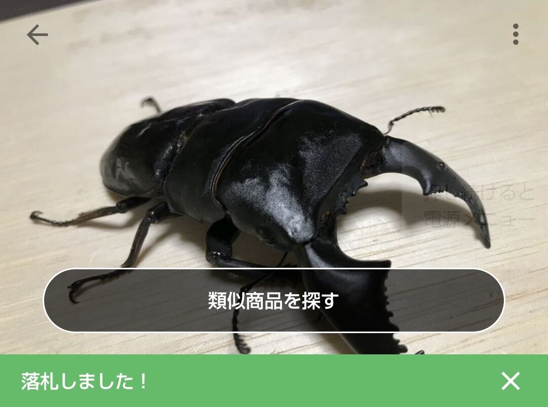 【今日の超目玉】 プチ県外遠征＆新たなる挑戦 : Beetrue その他