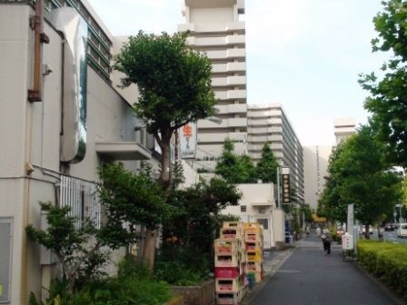 都営白髭団地 日本観光ミシュラン 都営白髭団地 日本観光ミシュラン