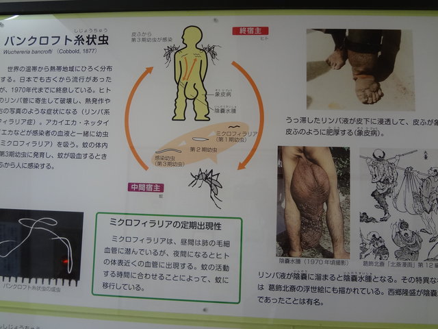 目黒寄生虫館 日本観光ミシュラン 目黒寄生虫館 日本観光ミシュラン