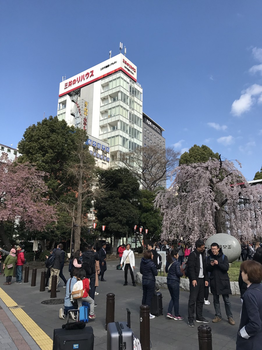 18 3 24 後楽園 新宿御苑 代々木公園 三軒茶屋 下北沢 Paperdiverのblog