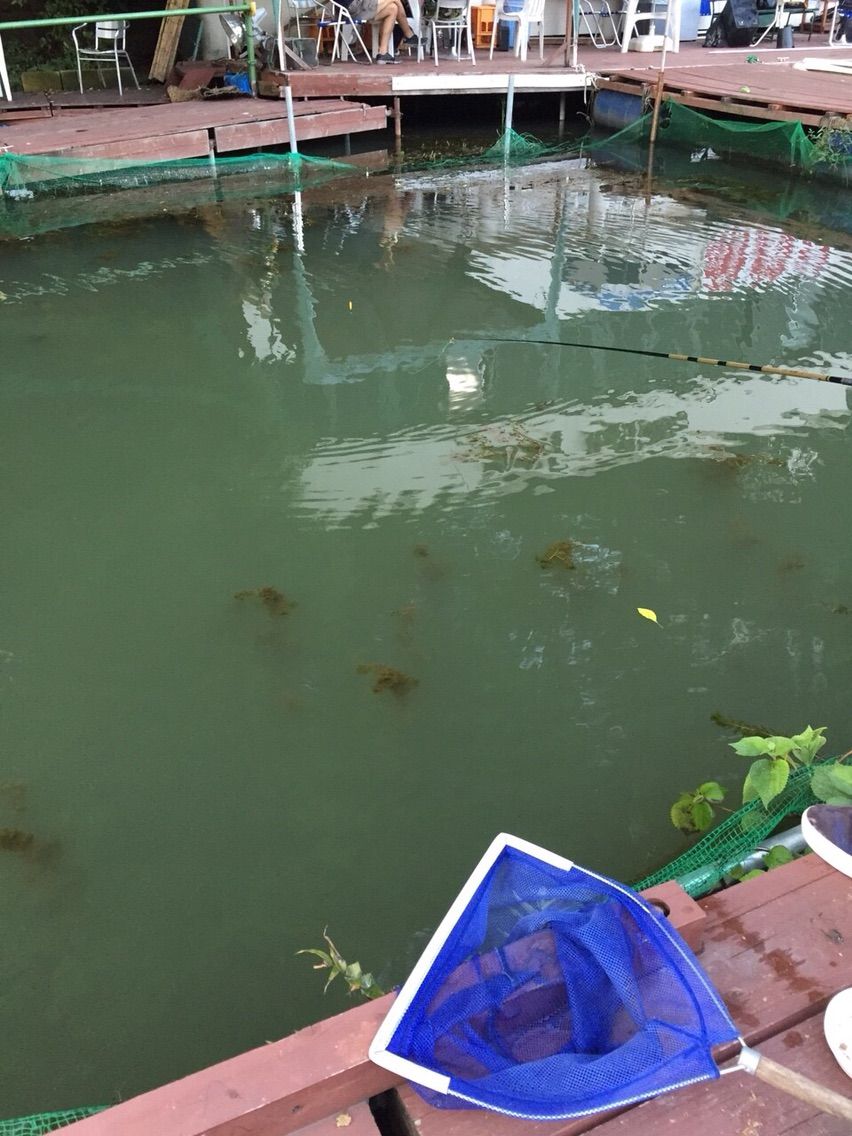 9 12 弁慶フィッシングクラブ バス他 釣りと自然と料理