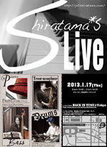 201301_flyer