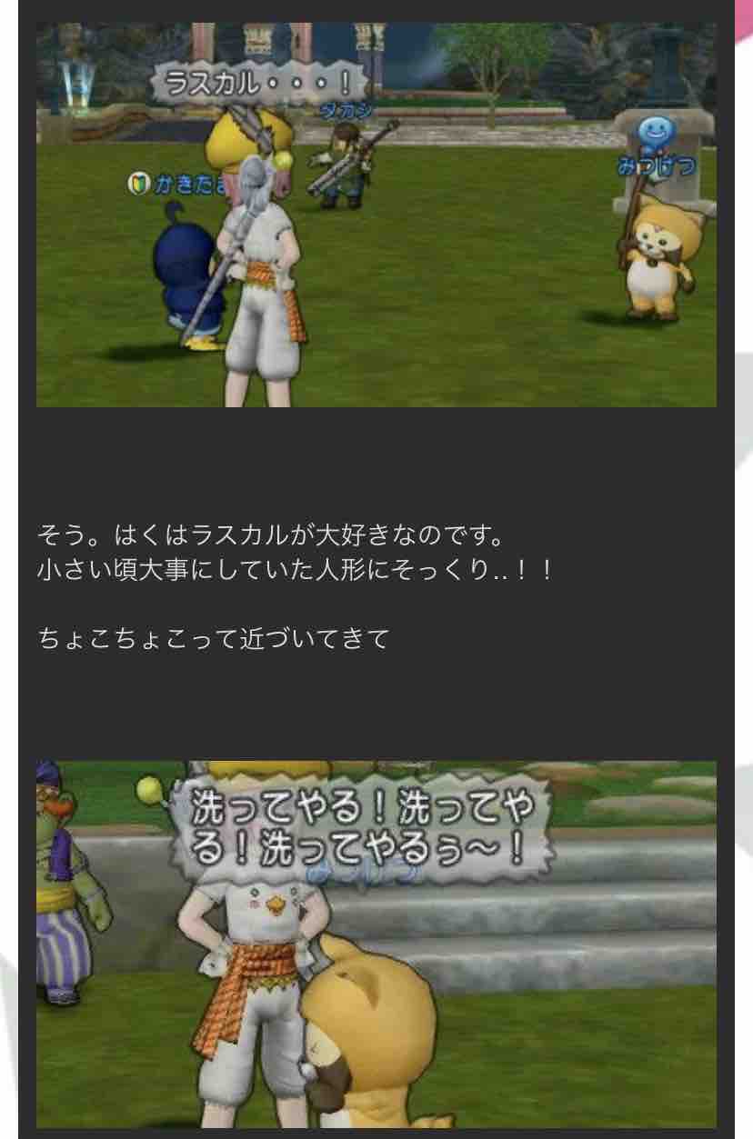 珍獣系ドワーフ ドワーフのタカシ 珍獣系ドワーフ ドワーフのタカシ