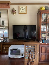 テレビ買い替え1