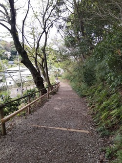 三渓園の松風閣までの道中の写真