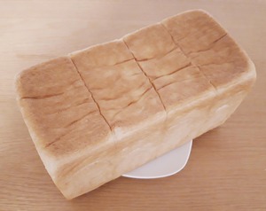 nikinを斜め上から見た写真