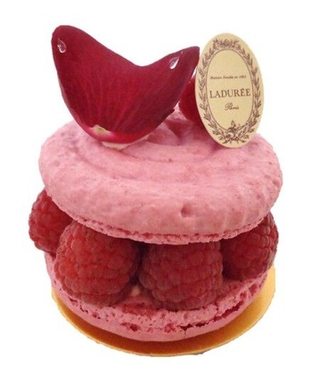 LADUREEのイスパハンを正面から見た写真