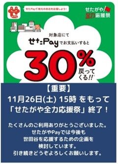 せたがや全力応援祭終了を知らせるスクリーンショット